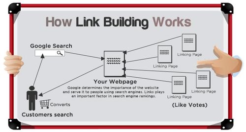 Understanding the Basics of Link Building